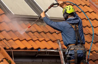 Démoussage et hydrofuge de toiture à Saint-Romain-de-Surieu
